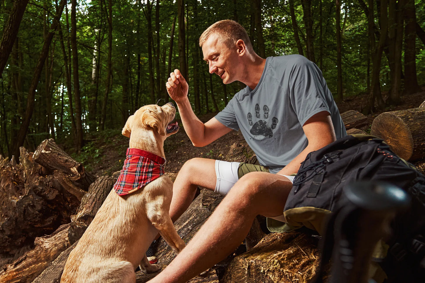 Hiking Paw Tee